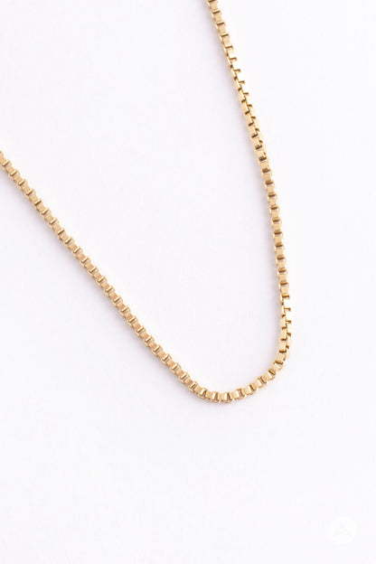 Luxe Gold Box Chain Necklace